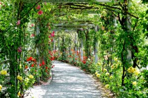 découvrez le parc lacroix laval, un écrin de nature aux portes de lyon. profitez de ses vastes espaces verts, de ses sentiers de randonnée, et de ses activités en plein air pour toute la famille. un lieu idéal pour se ressourcer et se divertir.