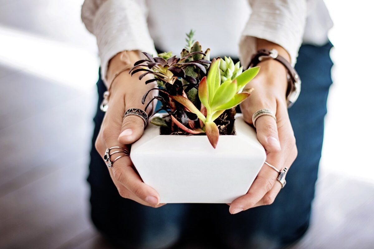 découvrez des idées d'activités d'intérieur amusantes et enrichissantes pour toute la famille. que ce soit des jeux créatifs, des projets diy ou des activités sportives, trouvez l'inspiration pour passer du bon temps à la maison.